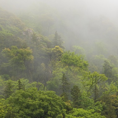 フォトオフィス　ルミエが撮影した「毎月のホテルの撮影」の写真