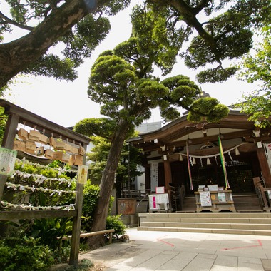 武藤　祐介が撮影した「建物撮影サンプル」のウェディングフォト