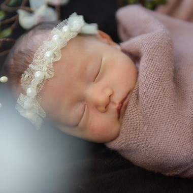 アラタンホヤガが撮影した「ニューボーンフォト」の写真