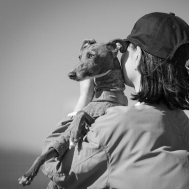 T.Matsumuraが撮影した「ペット」の写真