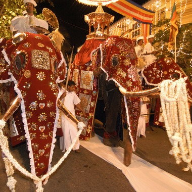 梶田　誠が撮影した「スリランカ　ペラヘラ祭り」の写真