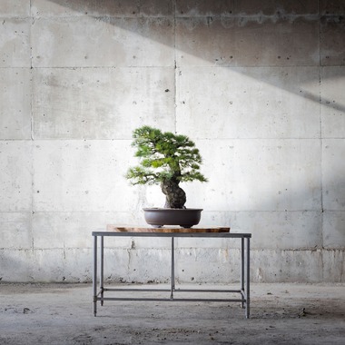 梅田　紫邑が撮影した「物撮り撮影」の写真