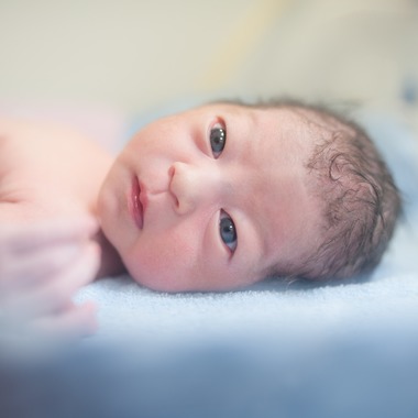 大舘洋志が撮影した「」の写真