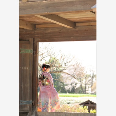 Photographer  Tomoが撮影した「成人の日」の写真