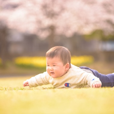 Lightgraphyが撮影した「桜の下の親子フォト」の写真