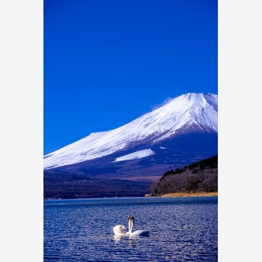 スタジオファンタスが撮影した「富士山」の写真
