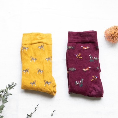 安藤栞里が撮影した「商品撮影」の写真