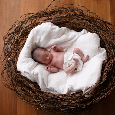 k.uemuraが撮影した「人物（ファミリー）」の写真