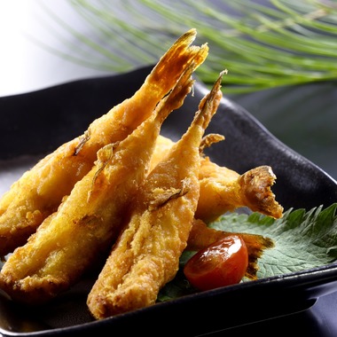 翔写真事務所が撮影した「主に福岡県北九州市」の写真