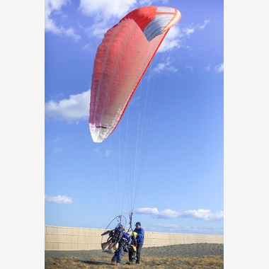 スタジオココンが撮影した「」の写真