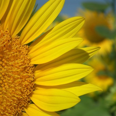 Photo BASEが撮影した「メニュー撮影、物撮り、イメージ」の写真