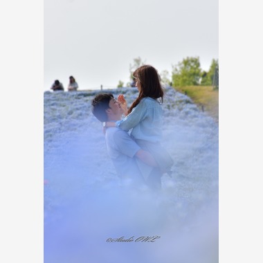 Studio OWL（スタジオ　アウル）が撮影した「」の写真