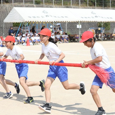HARAデザインが撮影した「運動会(小学校)」の写真