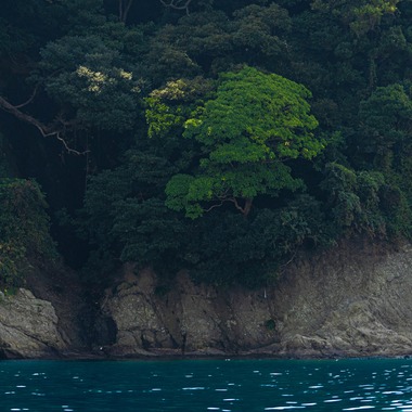 沖山俊樹が撮影した「風景_20221003_湘南」の写真