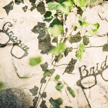 elle pupaが撮影した「静岡」の写真