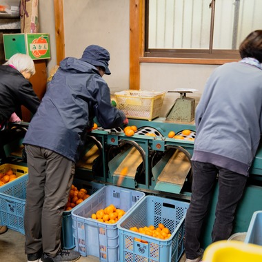 山中菜摘が撮影した「インタビュー」の写真