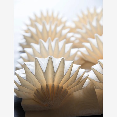 白井由香里写真事務所が撮影した「取材」の写真