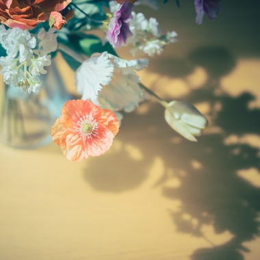 三橋宣貴が出張撮影した「神津島旅行の思い出（もの）」の家族写真
