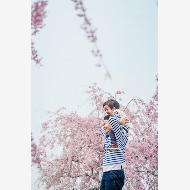 いしづか ちひろが撮影した「桜ロケーション撮影/八戸」の写真
