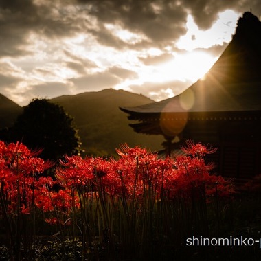 しのみんこフォトが撮影した「１．空間を撮影した写真３枚以上」の写真