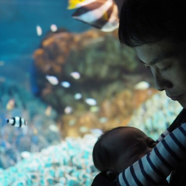 TAKA.が撮影した「親子写真」の写真