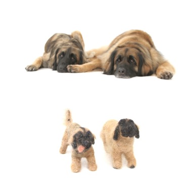 Hiroが撮影した「ペット撮影」の写真