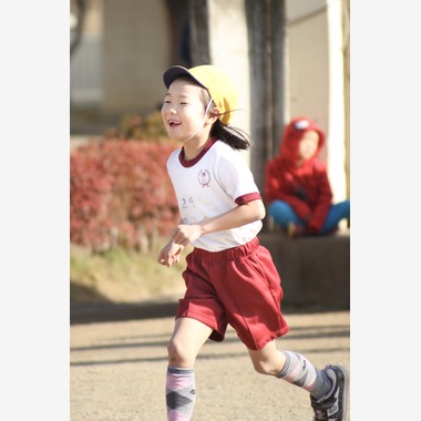 スタジオココンが撮影した「」の写真