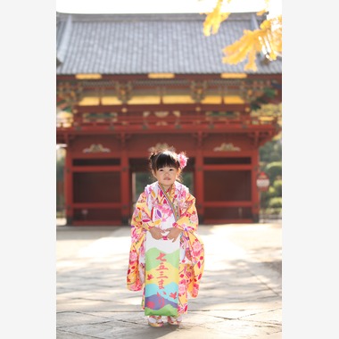 Kan Suzuki  photographyが撮影した「根津神社　七五三」の写真