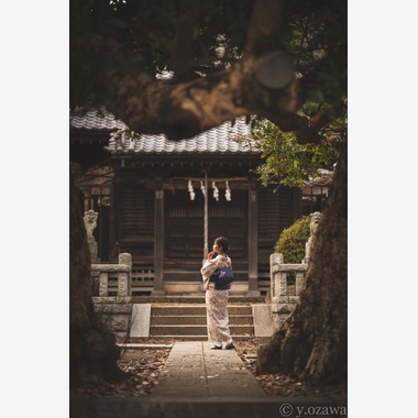 ヨッシ～が撮影した「ポートレート」の写真