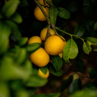 山中菜摘が撮影した「インタビュー」の写真