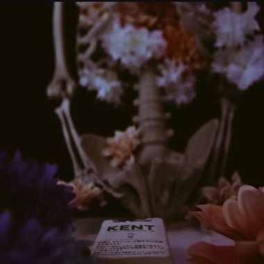 藍澤つかさが撮影した「物撮り」の写真