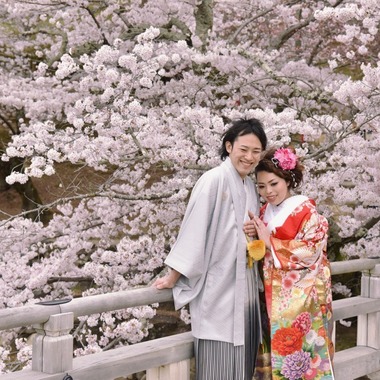 Photo taken by Kiki photo works - Pre Weddingphotoshoot in Nara park in the cherry blossom season for foreigners.