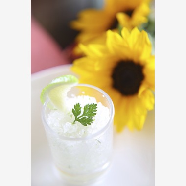 フォトスタジオ　ファータ（武田 渉）が撮影した「フレンチ」の写真