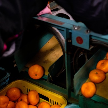 山中菜摘が撮影した「インタビュー」の写真