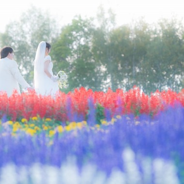 中村写真事務所が撮影した「北海道美瑛四季彩の丘」の写真