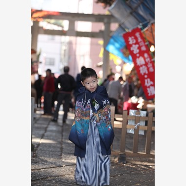 Kan Suzuki  photographyが撮影した「武蔵野八幡宮」の写真