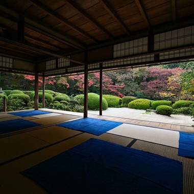 菅悠生が撮影した「野外・庭園」の写真