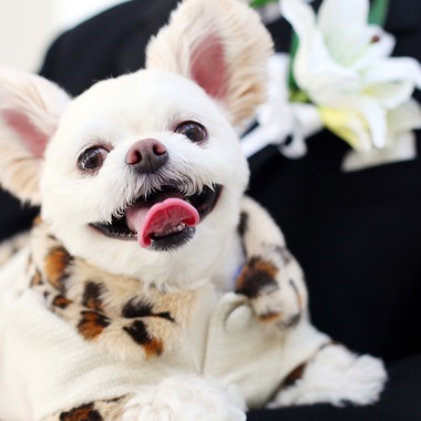 Photo taken by ecoo - Studio shooting