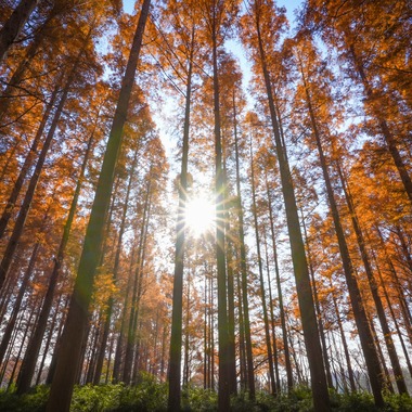 photographerTAKASUが撮影した「風景写真や動物写真」の写真