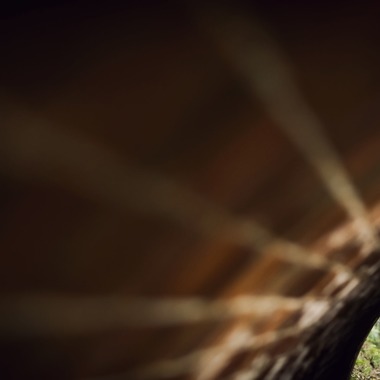 elle pupaが撮影した「和歌山」の写真