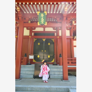 アラタンホヤガが撮影した「可愛い３歳の女の子」の写真