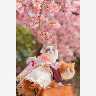 株式会社Neo-Smile 「locationbreeze」高橋 徹が出張撮影した「ペット」の家族写真