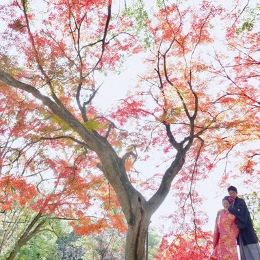 Photo taken by Kiki photo works - Pre Weddingphotoshoot in Nara Park