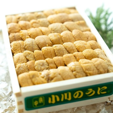 Photography_KanaUが撮影した「魚屋（豊洲市場）」の写真