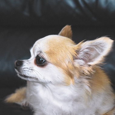 宮腰流弥が撮影した「過去作品」の写真