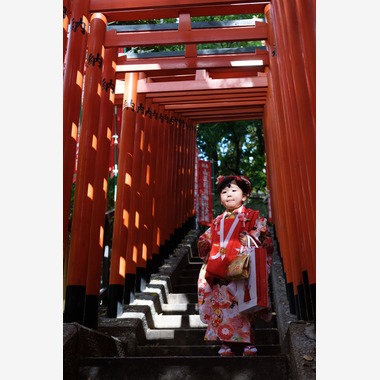 Famarry & emilyが撮影した「test」のウェディングフォト