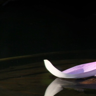 廣瀬穣が撮影した「出張撮影」の写真