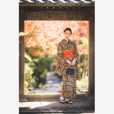 ヨッシ～が撮影した「ポートレート」の写真