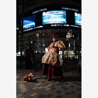 福島　友紀が撮影した「ポートレート」の写真