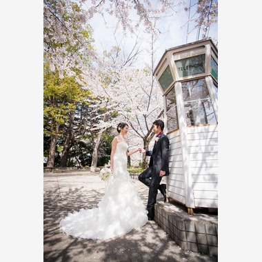 フォトグラフィカが撮影した「フォトギャラリー」の写真